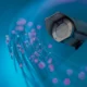 Swedish%20Telecom%20OPTO